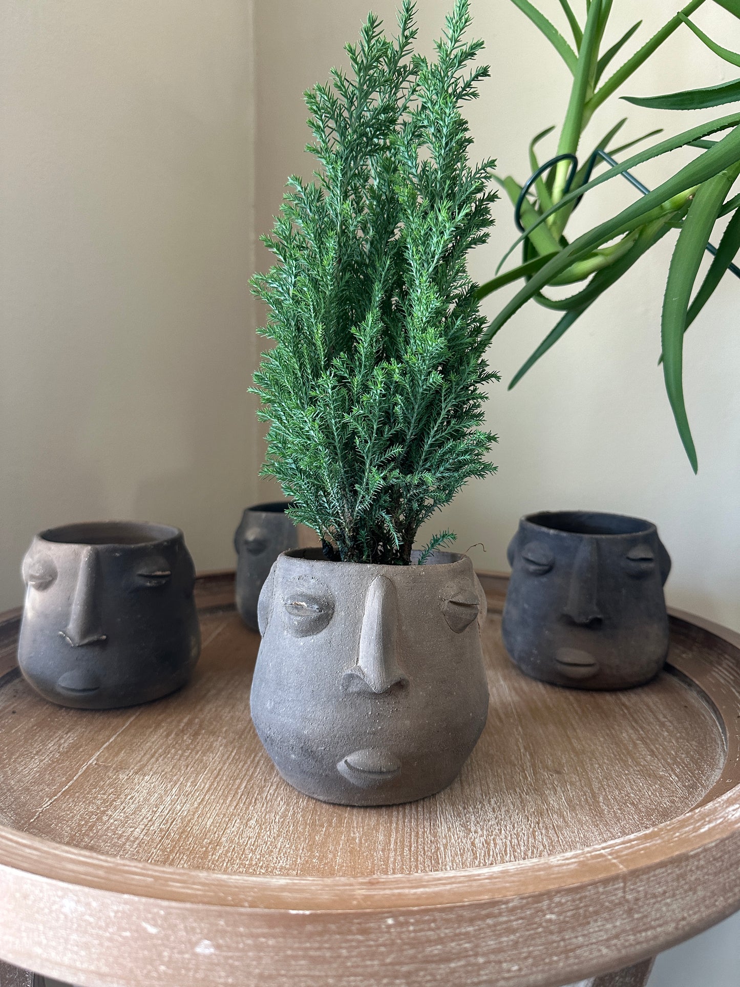 Planter Pot Carita -Smoked Clay